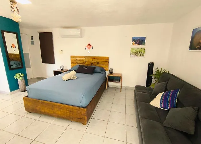 Comfy Studio Yaxkin On Downtown, 3 Block Away From Sea And Sunsets