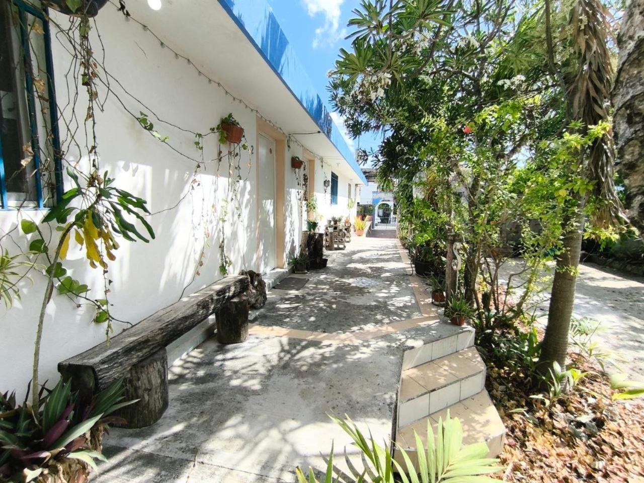 Comfy Yaxkin On Downtown, 3 Block Away From Sea And Sunsets Apartment *
