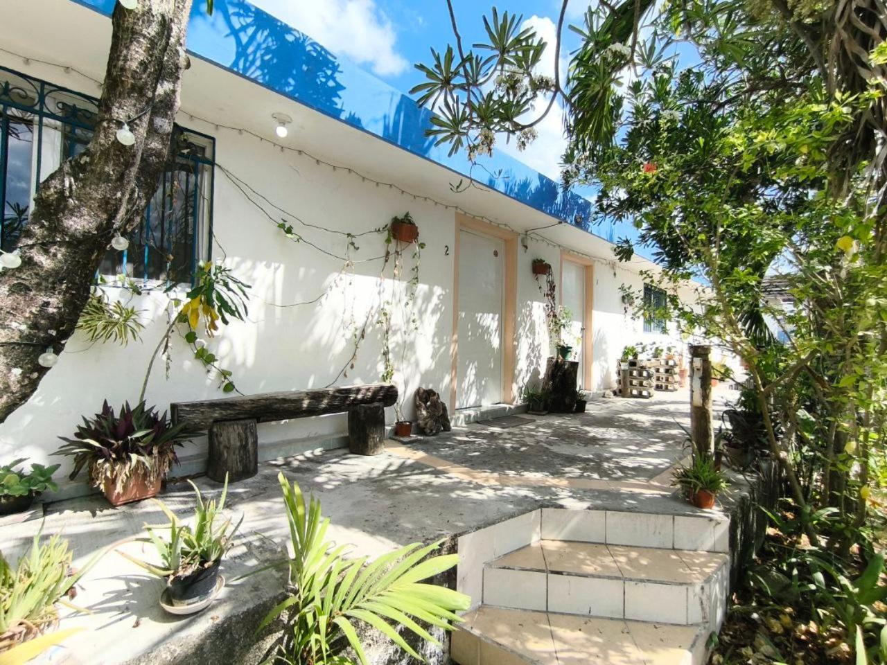 Apartment Comfy Yaxkin On Downtown, 3 Block Away From Sea And Sunsets Cozumel