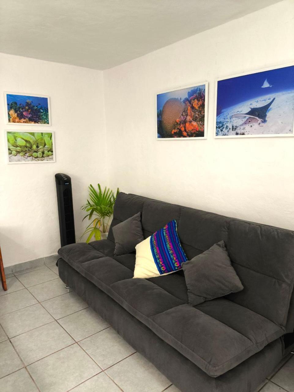 Apartment Comfy Yaxkin On Downtown, 3 Block Away From Sea And Sunsets Cozumel