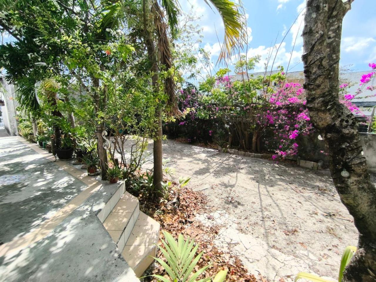 Comfy Yaxkin On Downtown, 3 Block Away From Sea And Sunsets Apartment