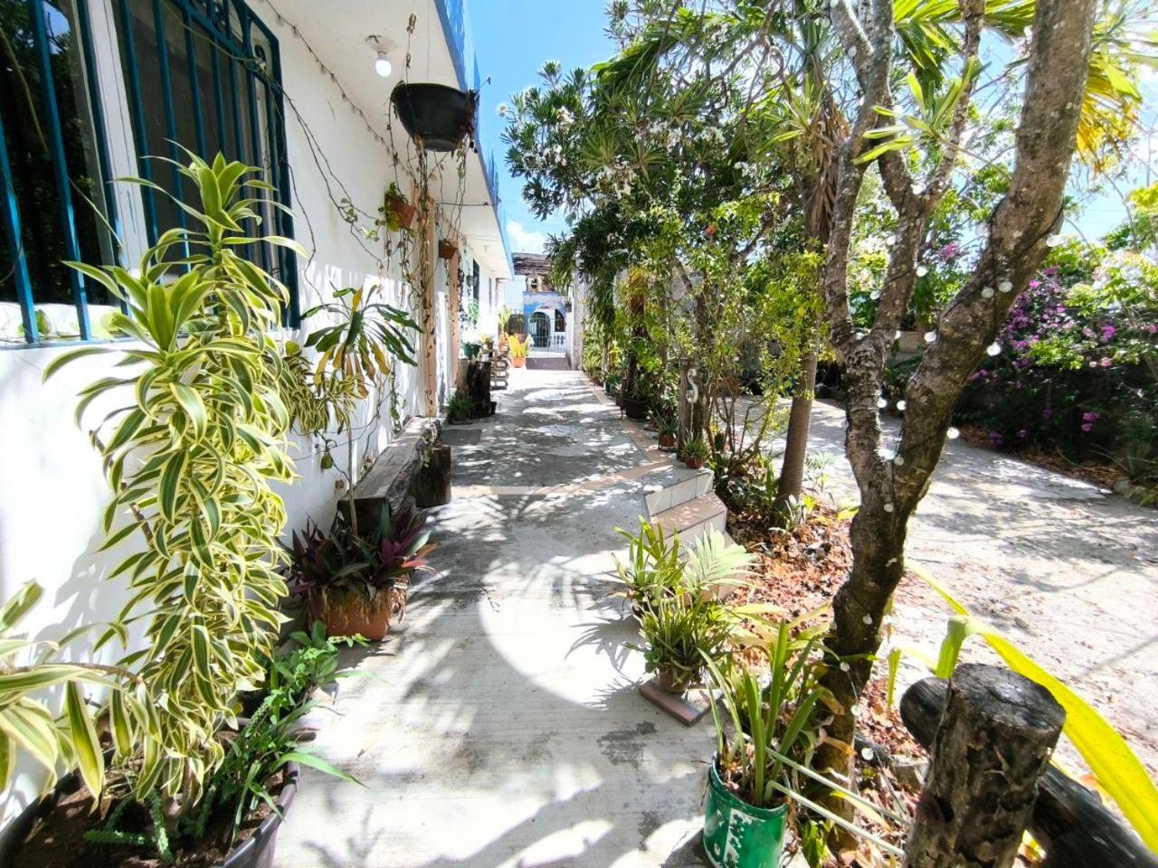 Comfy Yaxkin On Downtown, 3 Block Away From Sea And Sunsets * Cozumel
