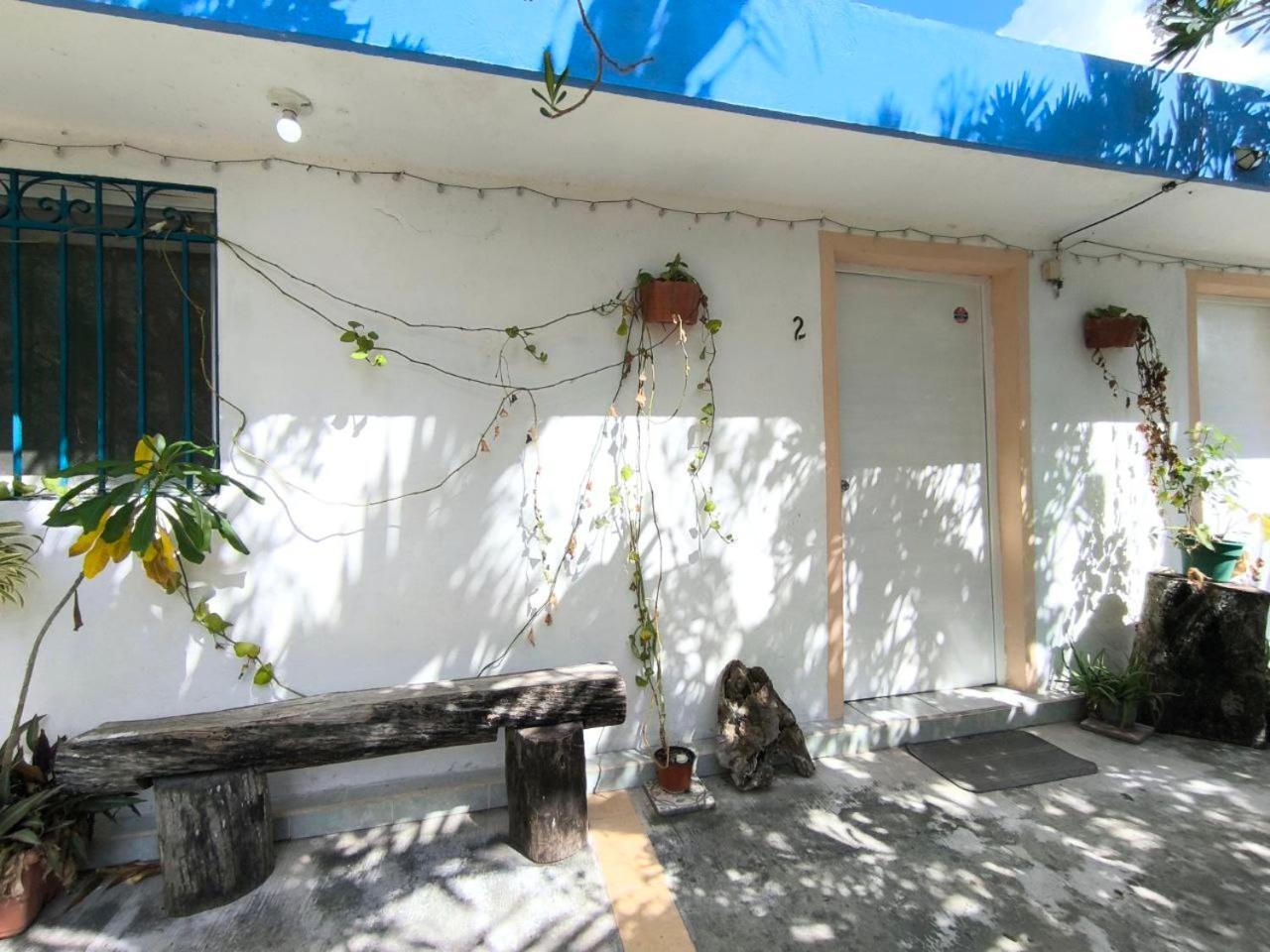 Comfy Yaxkin On Downtown, 3 Block Away From Sea And Sunsets * Cozumel