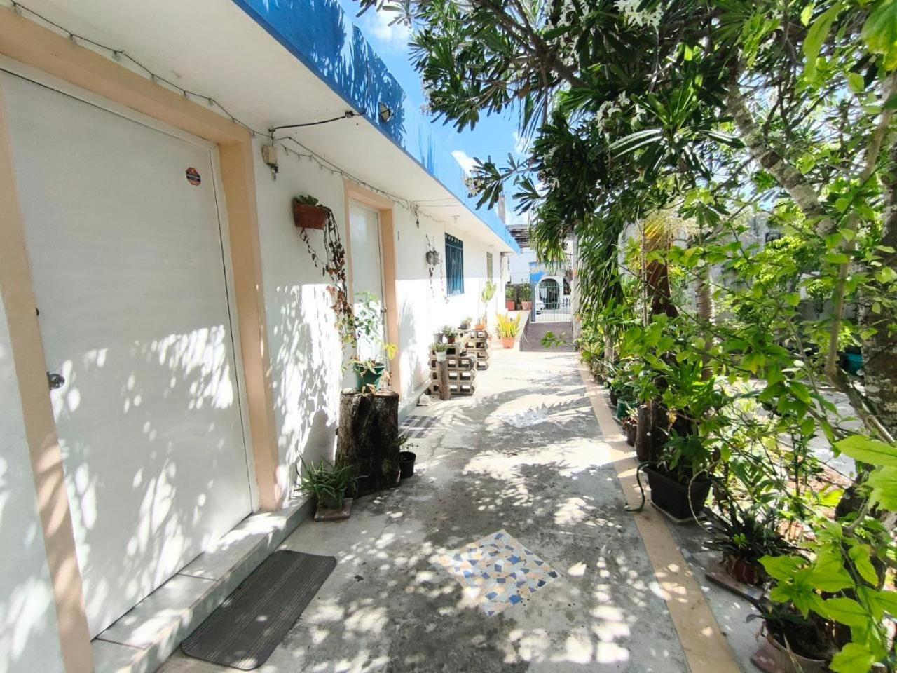 Comfy Yaxkin On Downtown, 3 Block Away From Sea And Sunsets Apartamento