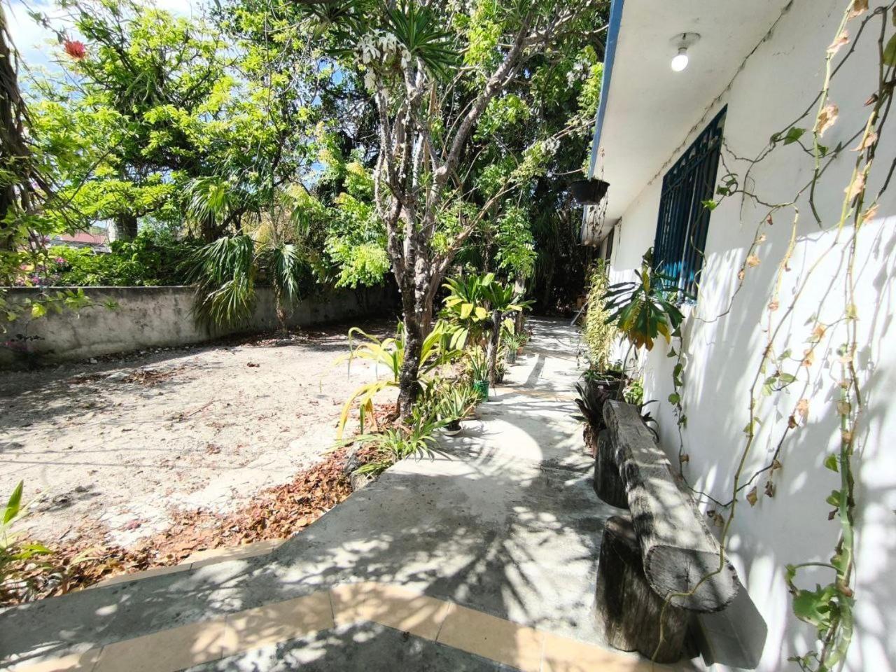 Apartamento Comfy Yaxkin On Downtown, 3 Block Away From Sea And Sunsets