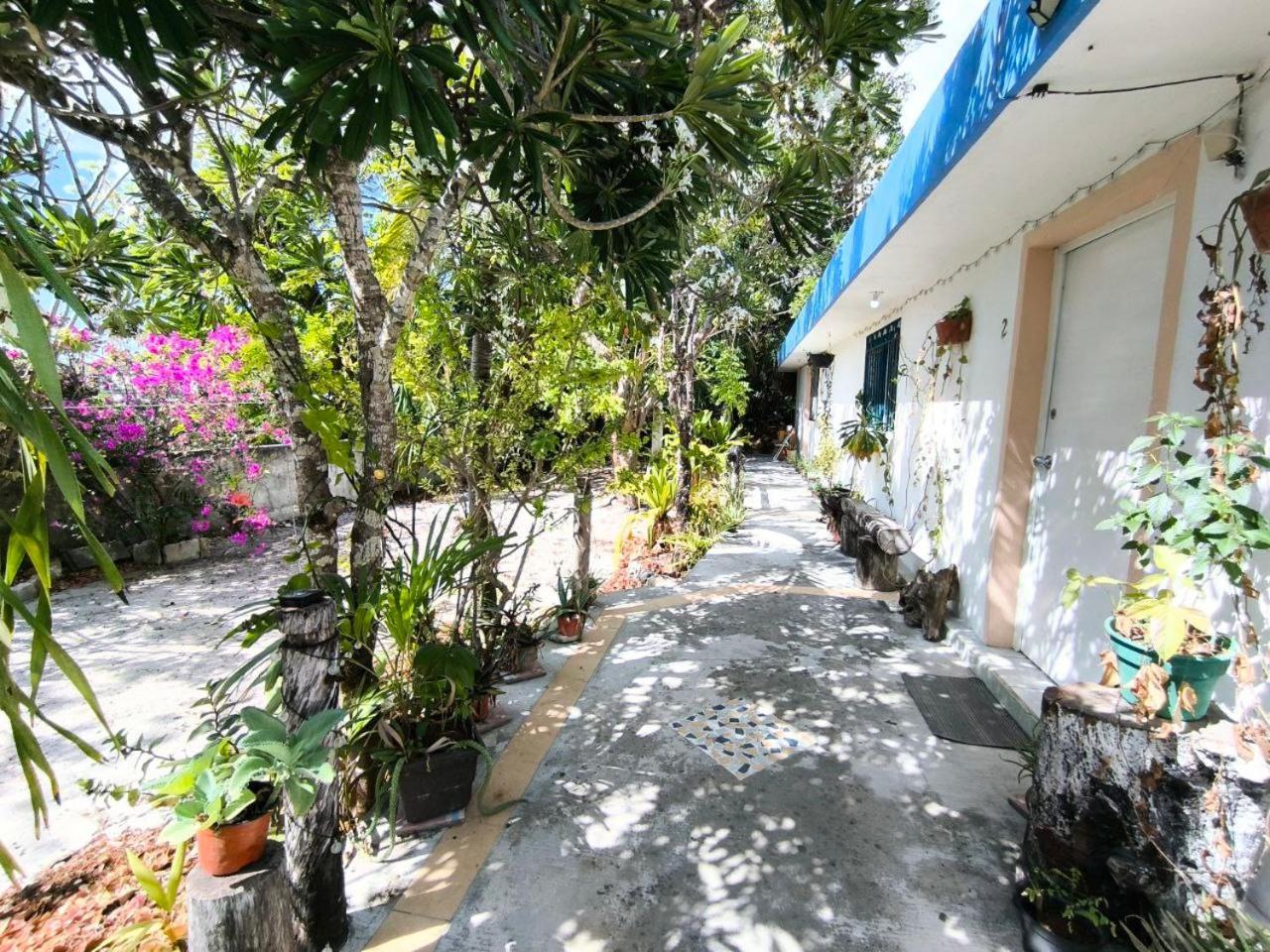 Comfy Yaxkin On Downtown, 3 Block Away From Sea And Sunsets Apartamento