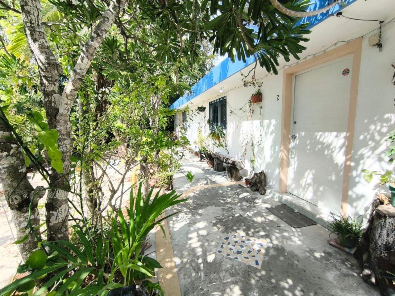 Comfy Yaxkin On Downtown, 3 Block Away From Sea And Sunsets Apartamento