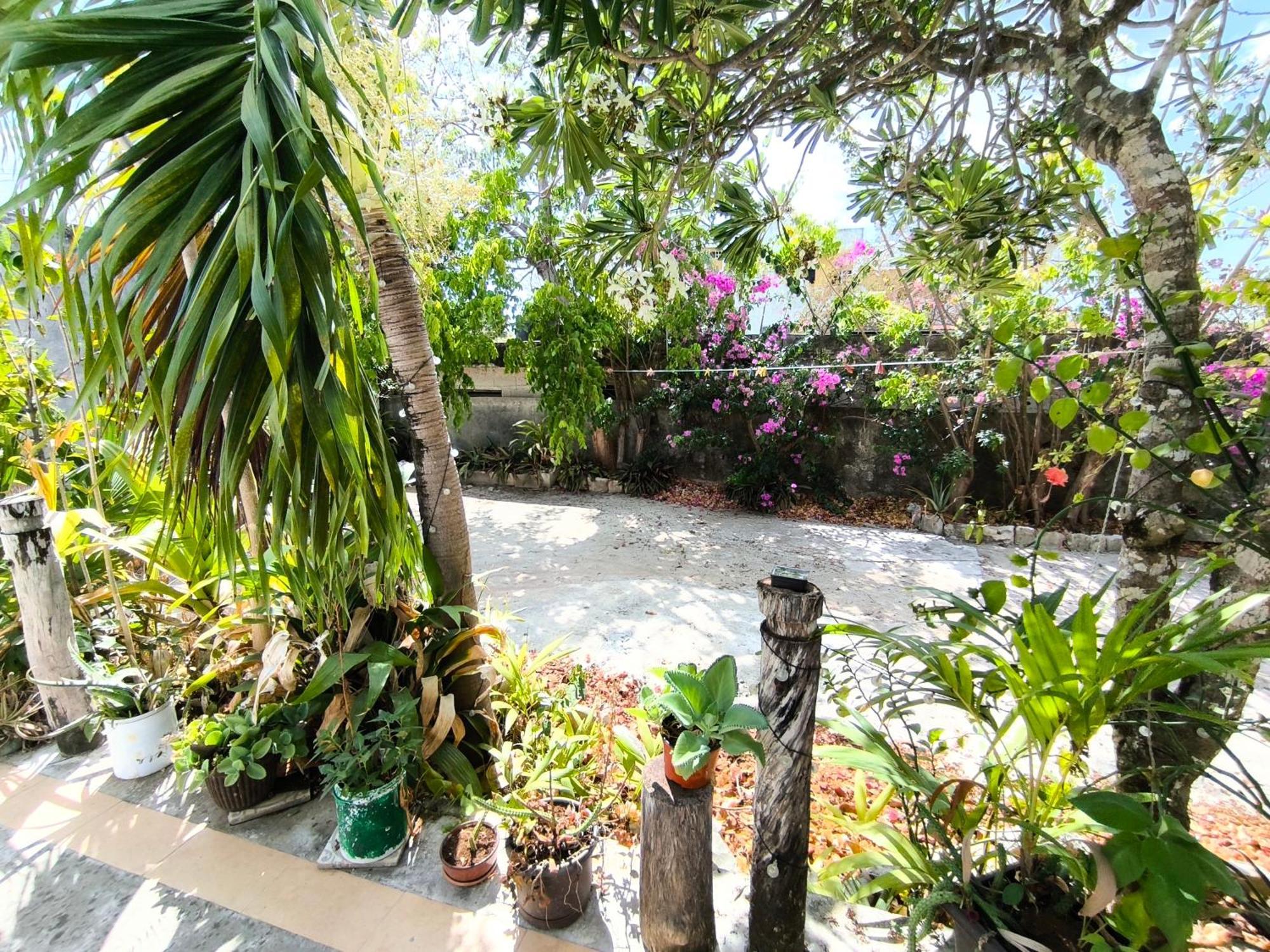 Comfy Yaxkin On Downtown, 3 Block Away From Sea And Sunsets Apartamento Cozumel